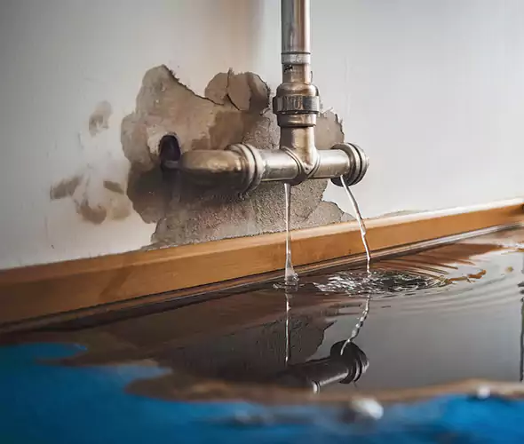 Professional Water Damage Restoration Experts in Melville, NY — Fast, Reliable & Certified