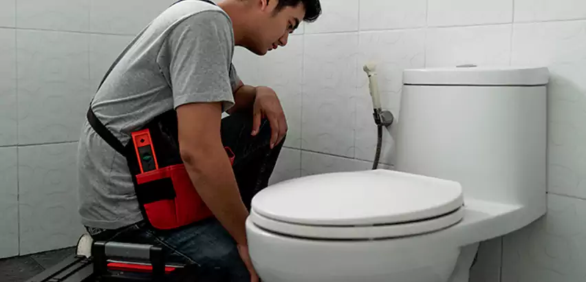 Toilet Repair in Melville