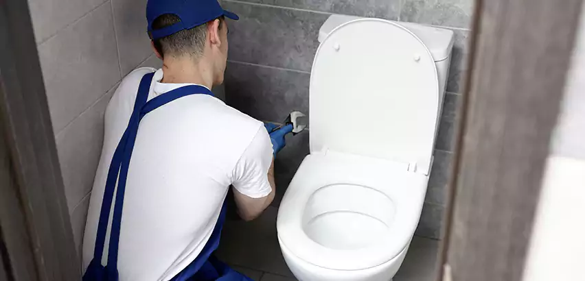 Toilet Lid Replacement in Melville