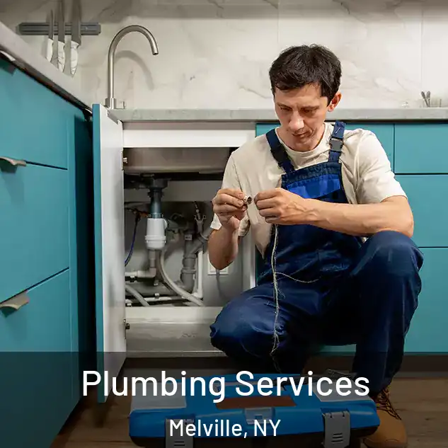  Plumbing Services Melville, NY