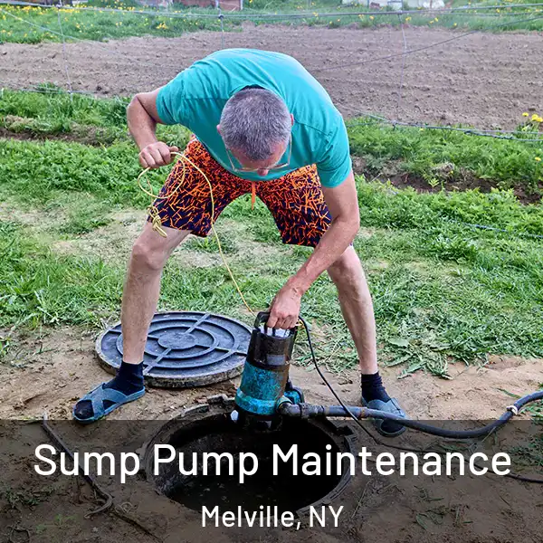  Sump Pump Maintenance Melville, NY
