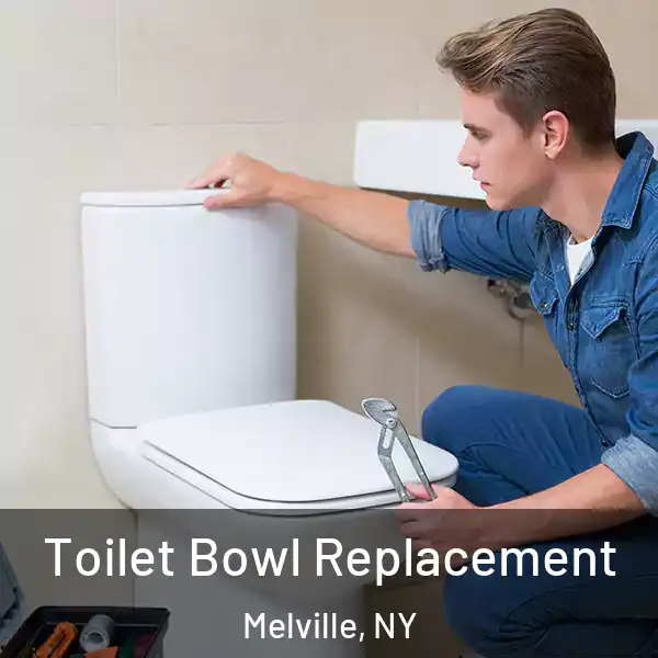  Toilet Bowl Replacement Melville, NY